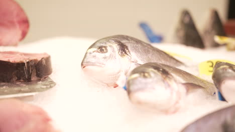 fresh fish on ice at the market