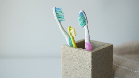 toothbrushes in a sandstone holder