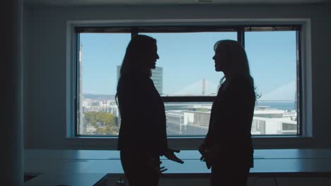 businesswomen meeting in office