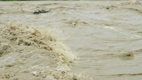 surface of the water flow of the mountain river at the time of the spring floods