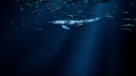 whale and school of fish in the deep ocean