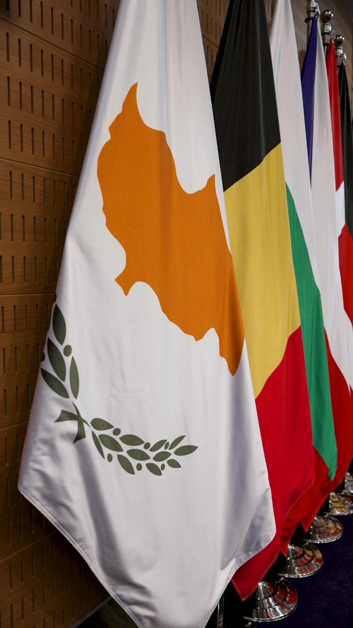 Participants at the meeting are gathered in a conference room with various flags on display. Cyprus flag is prominently shown with orange and green colors.