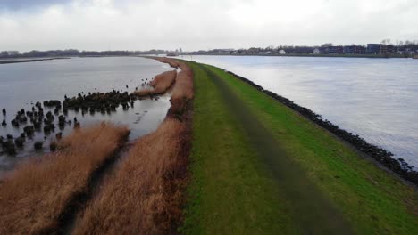 aerial along grass verge beside crezeepolder nature reserve at ridderkerk in netherlands