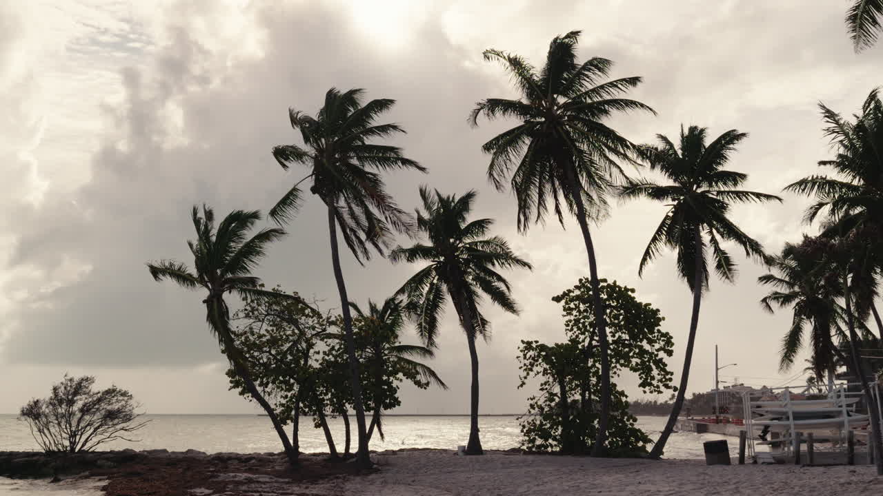 Tropical Beach Scene at Sunrise/Sunset