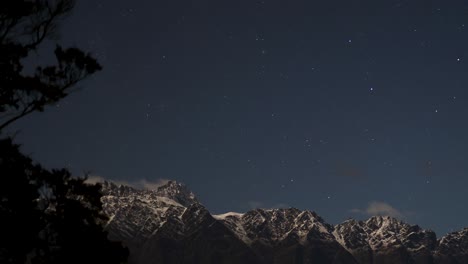 A serene night sky with stars above snow-capped mountains, framed by silhouetted trees, under soft moonlight