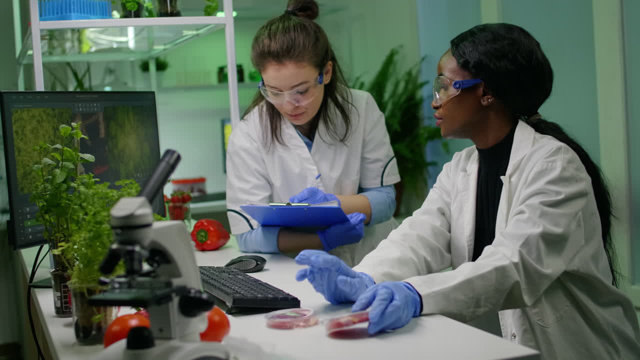 Medical team researchers talking about vegetarian meat
