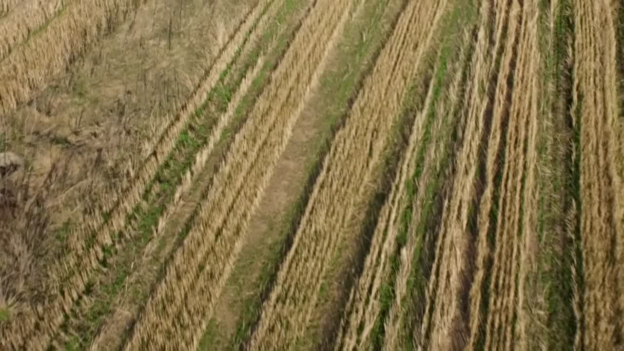 vista aérea del campo cosechado