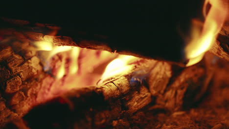 close up of flickering flames from outdoor campfire logs