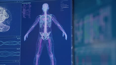 human skeleton, brain and coronavirus models on computer screen. looking for damage. futuristic laboratory research