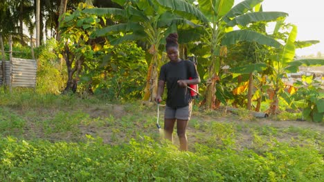 black female farmer africa spray fumigation for weed control toxic pesticides and insecticides on plantations