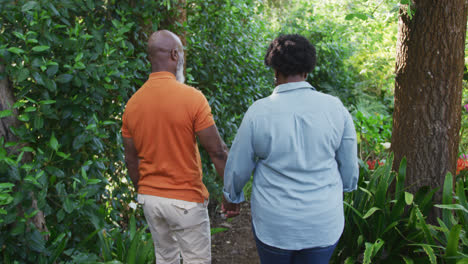 Vista-Trasera-De-Una-Pareja-De-Ancianos-Afroamericanos-Tomados-De-La-Mano-Caminando-Juntos-En-El-Jardín.