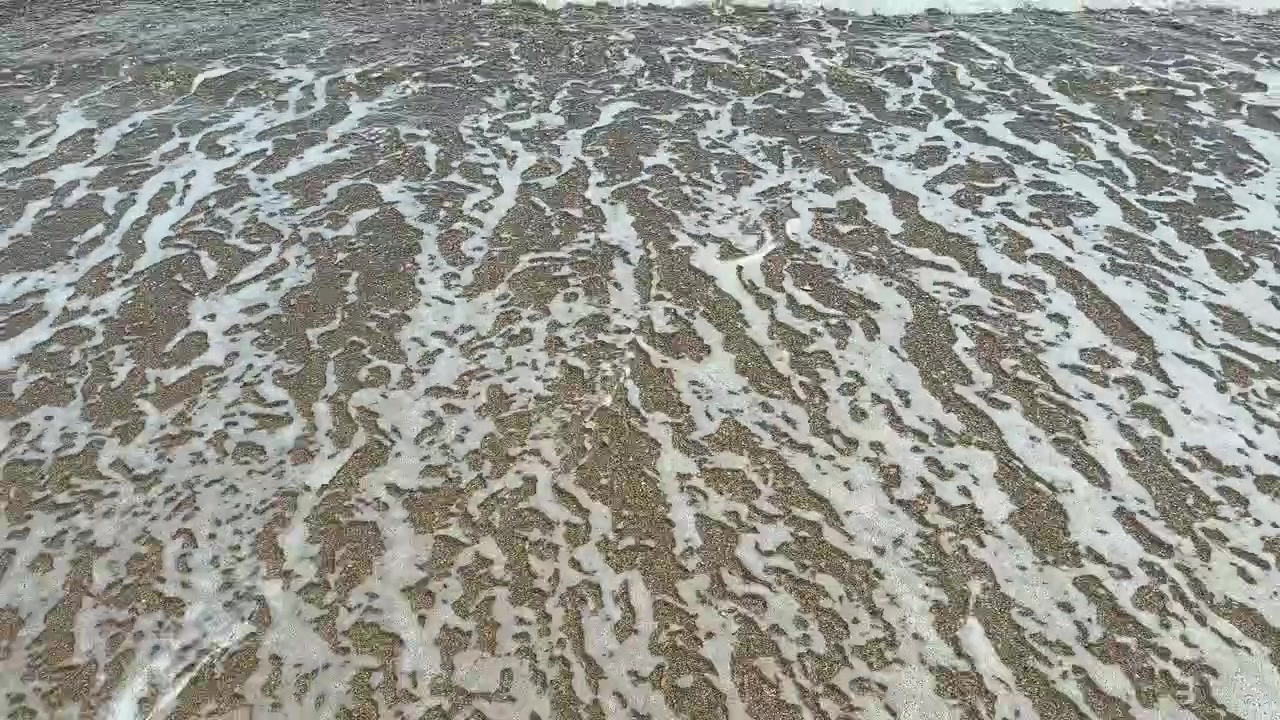 Waves wash over sand at the beach during a sunny day creating patterns and impressions in the shoreline at midday