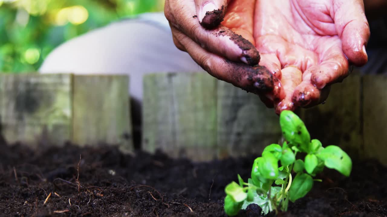 Senior man watering a plant