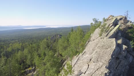 mountainous landscape with cliff and forest