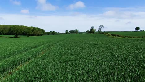 próximo vuelo aéreo de un campo agrícola verde y exuberante bordeado de árboles y setos contra un cielo nublado azul en inglaterra y el reino unido