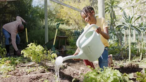 senior african american grandfather and grandson watering vegetables in sunny garden, slow motion