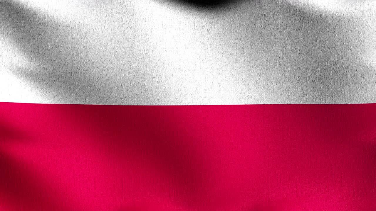 폴란드 국기 바람에 날아다니는 고립 된 공식 애국적 추상 디자인 3d 렌더링 기호의 일러스트레이션