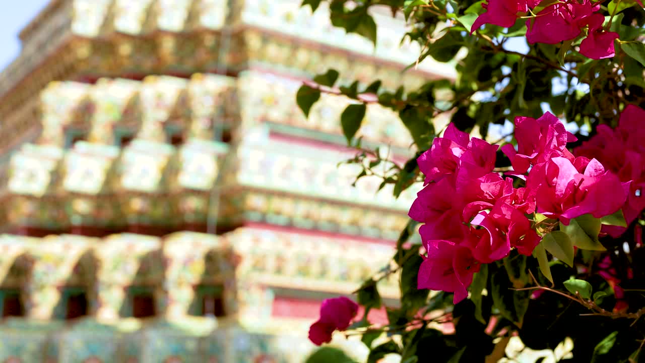 vibrantes flores de bougainvillea cerca de la estupa del templo adornado en bangkok, tailandia
