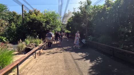 families walking through lush zoo pathway