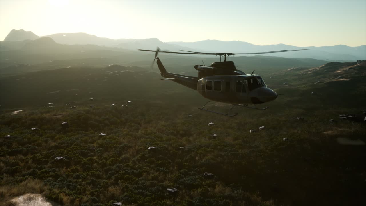 베트남에 있는 미국 군사 헬리 ⁇ 터