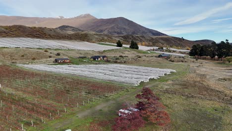 drone footage captures a scenic vineyard in queenstown, new zealand, with mountains and autumn foliage under clear skies