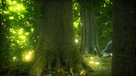 the primeval forest with mossed ground