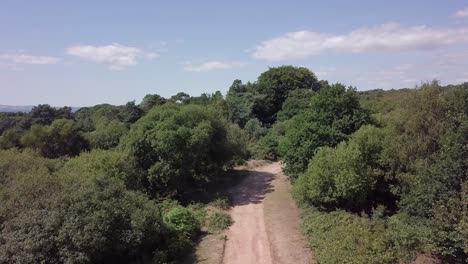 Dirt-road-in-Woodbury-England