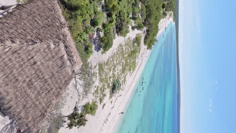 Volando-Sobre-Bahía-De-Las-Aguilas-Océano-Turquesa-Y-Playa-De-Arena-En-República-Dominicana,-Tiro-Vertical