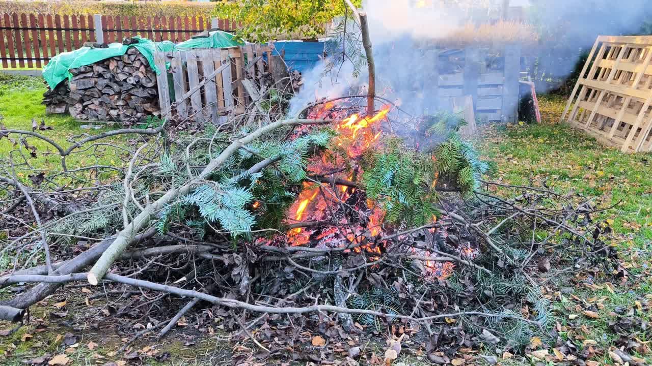 A steady outdoor view shows branches and evergreen cuttings burning in a backyard fire, with bright flames and smoke rising among fallen autumn leaves
