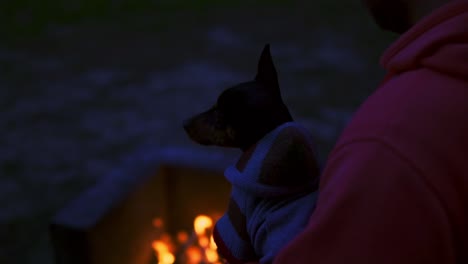 Slow-motion-shot-of-a-dog-and-owner-standing-in-front-of-a-small-campfire