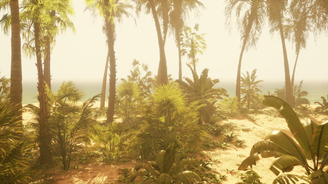 Tropical Beach Paradise