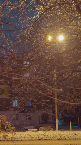 las ramas de los árboles brillan bajo la cálida luz dorada de la lámpara de la calle mientras un coche con faros pasa, con un edificio residencial y una carretera nevada en el fondo