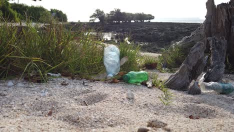 In-Der-Sonnenaufgangsbeleuchtung-Sind-Plastikflaschen-Auf-Dem-Sand-Neben-Einem-Uralten-Baum-Mit-Vulkanischem-Gestein-Im-Hintergrund-Zu-Sehen,-Das-Von-Ebbe-Freigelegt-Wurde