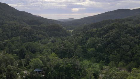 Building-Structures-At-Currumbin-Valley-With-Dense-Green-Forest-At-Queensland,-Australia