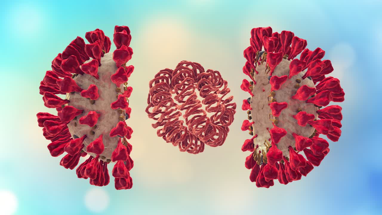 Coronavirus, SARS-CoV-2, 2019 nCoV virus Particles. Virus structure with protein insides membrane