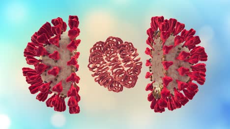 coronavirus, sars-cov-2, 2019 ncov virus particles. virus structure with protein insides membrane