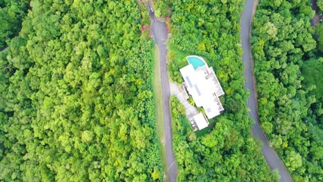aerial drone shot of a lonely dirt road winding through a vast green forest, surrounded by tall pines and dense foliage, showcasing the untouched beauty of remote wilderness from above