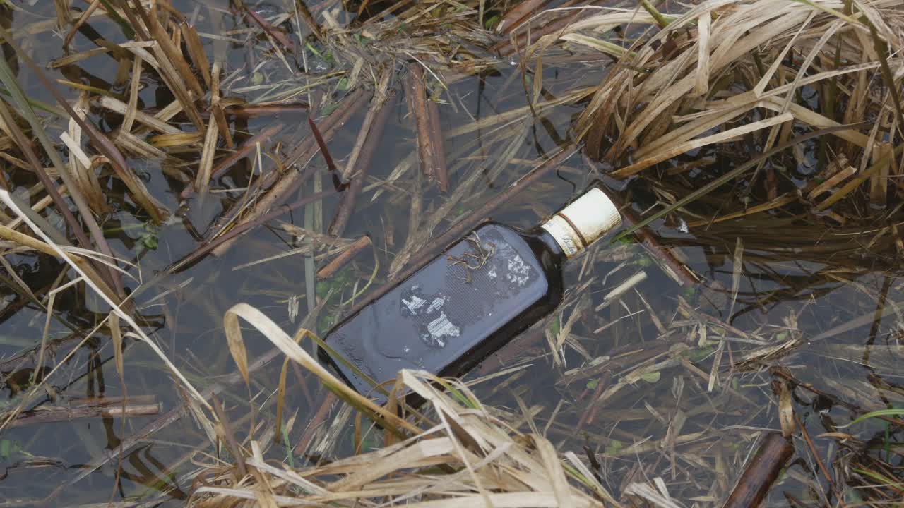 Discarded Bottle in a Wetland