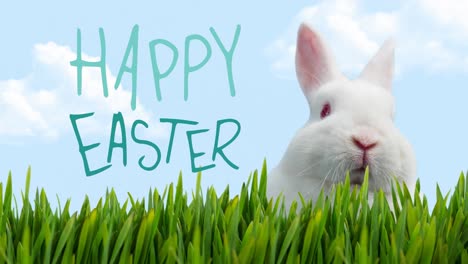 animation von frohem ostern, weißem kaninchen und gras