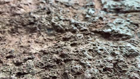 closeup of stone showing the texture of it used in the ancient temples of the kalachuri period in amarkantak are the most prominent old temples from the 11th century