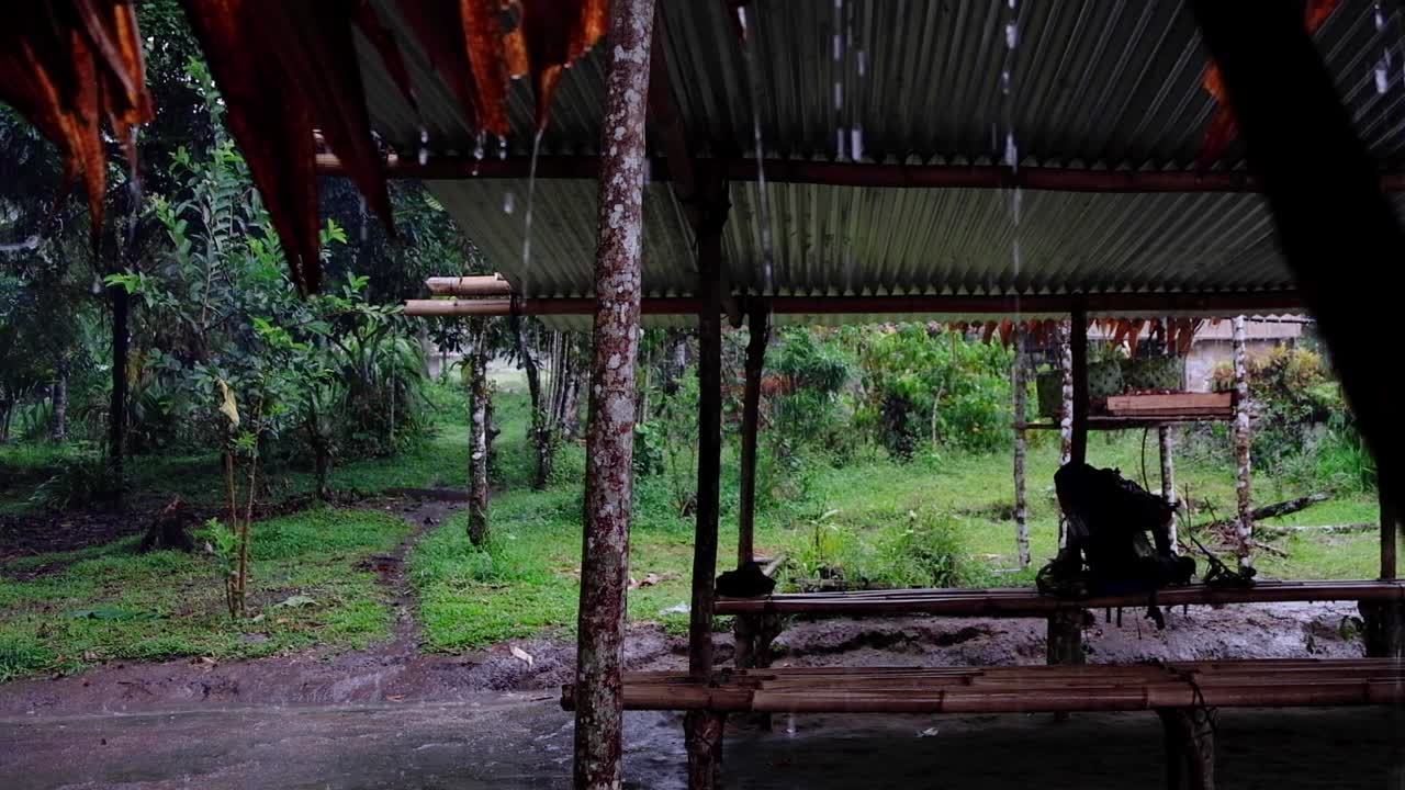 Rain pouring down onto an old metal tin roof on shelter in the jungle on tropical island in Bougainville, Papua New Guinea