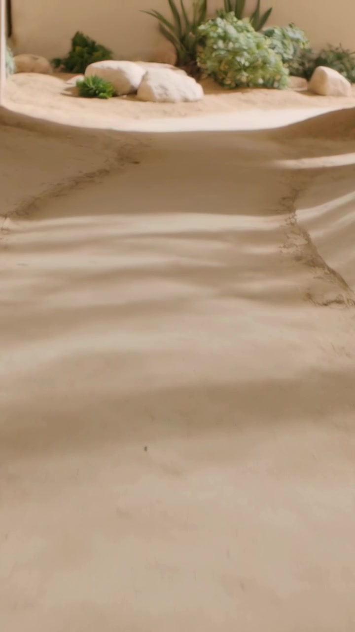 Video vertical: Siguiendo una rampa de hormigón, la cámara avanza revelando una jardinera de suculentas y rocas.