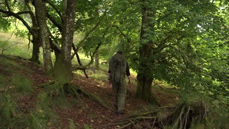 Rucksacktourist,-Der-Im-Sommer-Durch-Einen-Wald-Geht