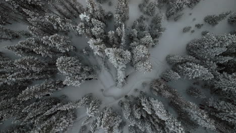 Berthoud-Berthod-Jones-Pass-aerial-drone-Winter-wonderland-Park-Colorado-snowy-blizzard-deep-powder-ski-snowboarder-backcountry-Rocky-Mountains-National-Forest-birdseye-view-left-motion