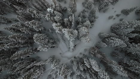 berthoud berthod jones pasa drone aéreo invierno parque de las maravillas de colorado tormenta de nieve polvo profundo esquí snowboarder backcountry montañas rocosas bosque nacional vista de ojo de pájaro movimiento a la izquierda