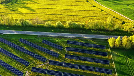 drone video of large solar farm amongst yellow rapeseed fields with golden hour glow