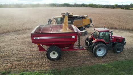 a combine in wisconsin transfers his load of soybeans to an open trailer