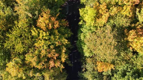 Vista-Panorámica-De-La-Tranquila-Carretera-Rural-En-Otoño-Sin-Carros-Rodantes-Hacia-Adelante