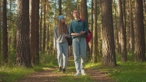 hikers walking through serene forest, one wearing blue scarf gazing into trees with curiosity while other in green shirt playfully holds strand of grass, sunlight filters through tall trees