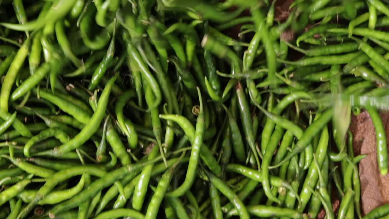 chile verde orgánico fresco de la granja de cerca desde diferentes ángulos